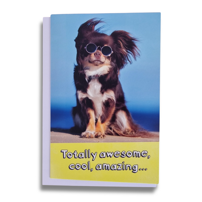 'Totally awesome, cool, amazing' Greeting card