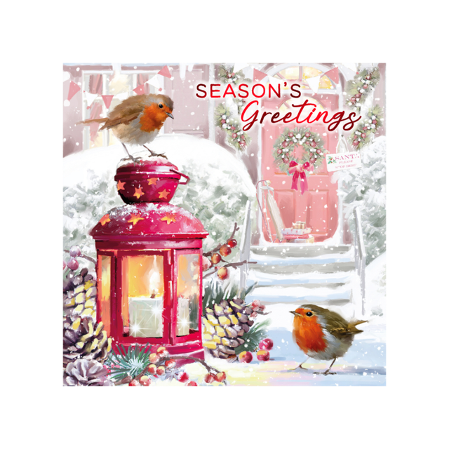 Christmas Robin Cards Pack of 12