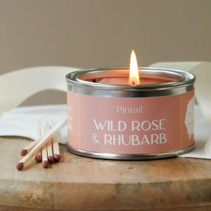 Wild Rose & Rhubarb Paint Pot Candle