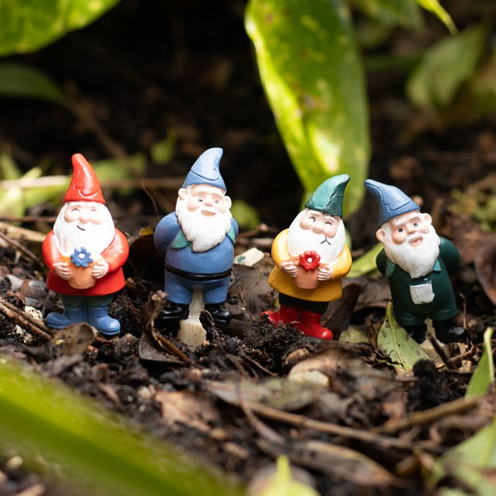Set of 4 Mini Gnome Pot Pals