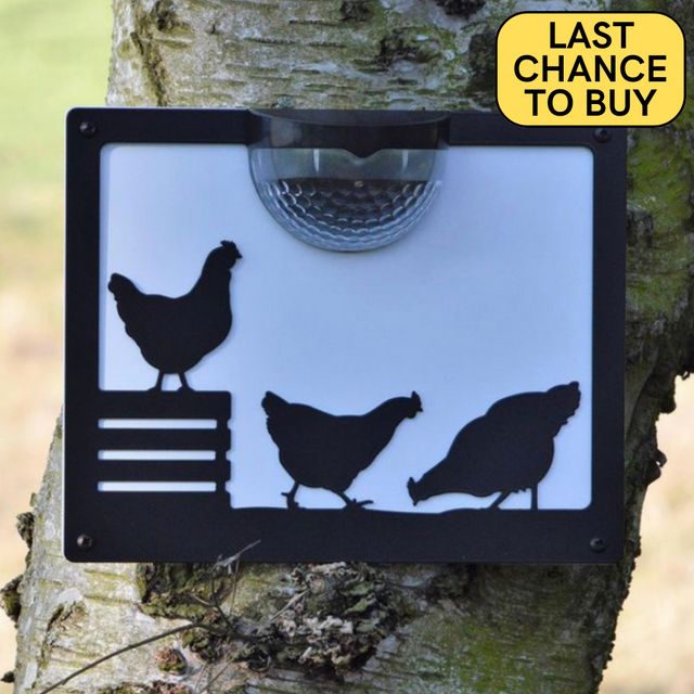 Chicken Solar Light Wall Plaque