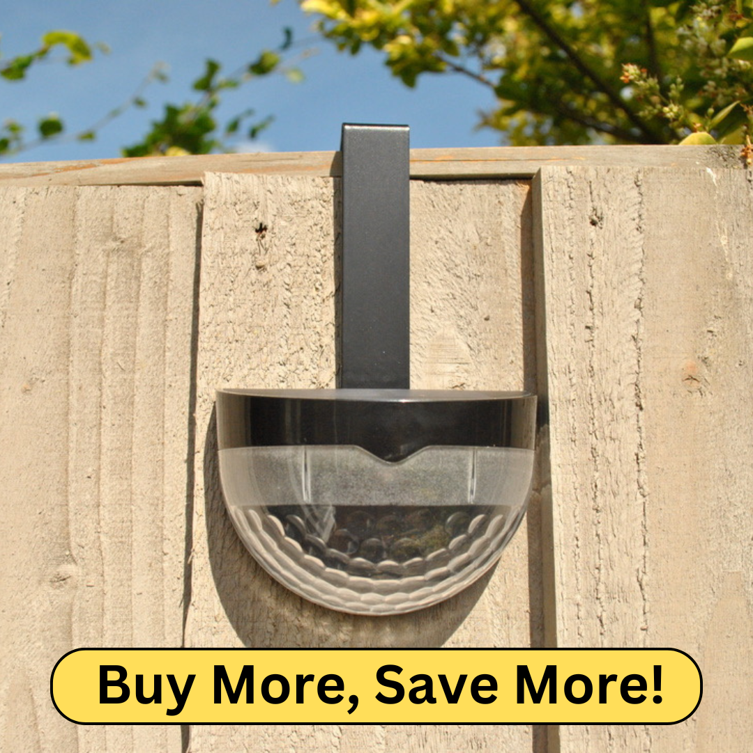 Best Sellers - Back In Stock!