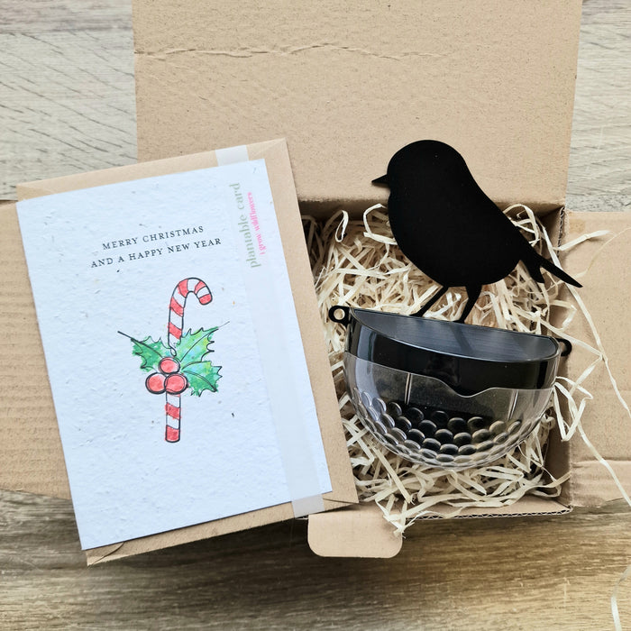 Merry Christmas Seeded Card Gift Set