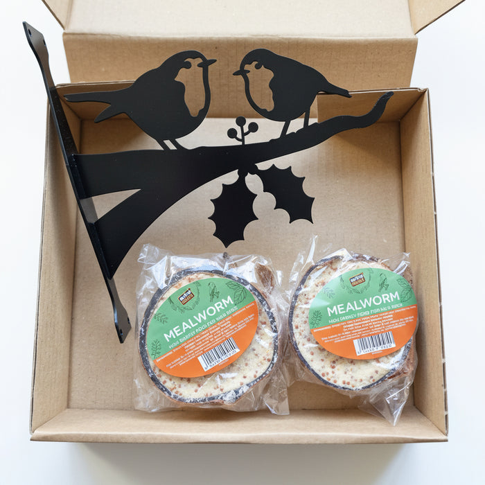 Black Friday EXCLUSIVE - Winter Robin Bird Feeder Gift Set