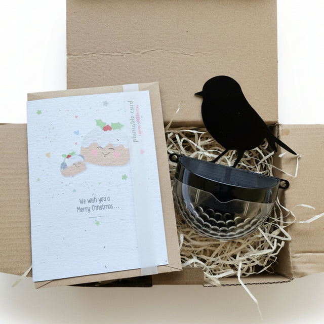 We Wish You A Merry Christmas Seeded Card Gift Set