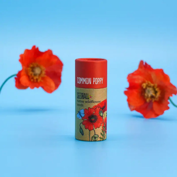 Wildflower Seedball Tube - Poppy