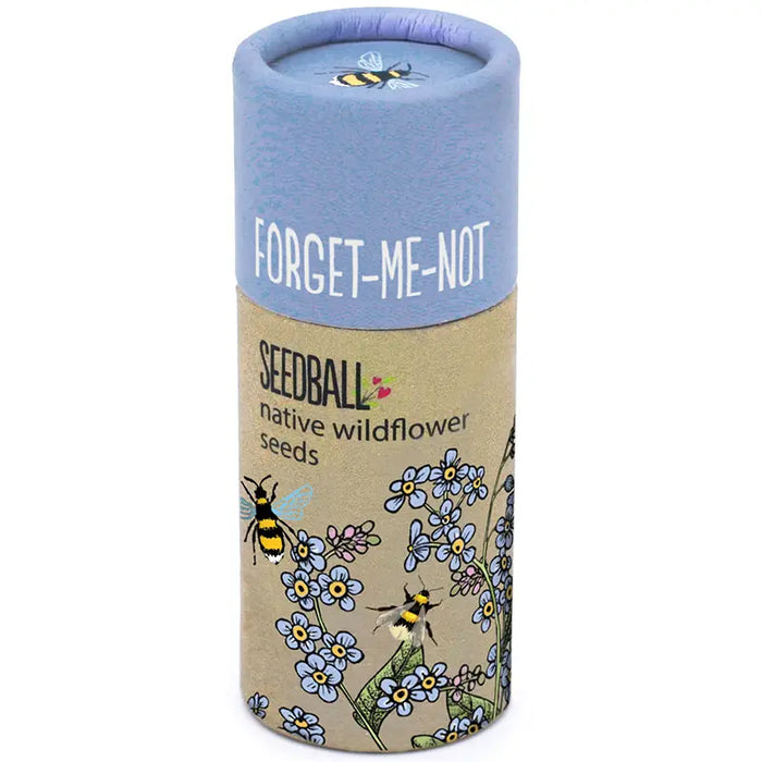 Wildflower Seedball Tube - Forget-Me-Not