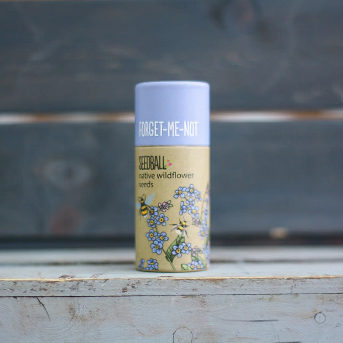 Wildflower Seedball Tube - Forget-Me-Not
