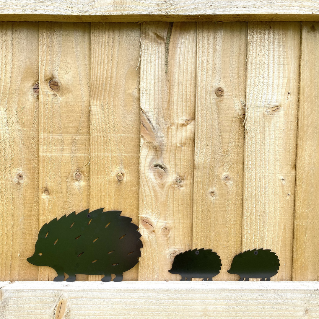 The Spring Collection 🌷