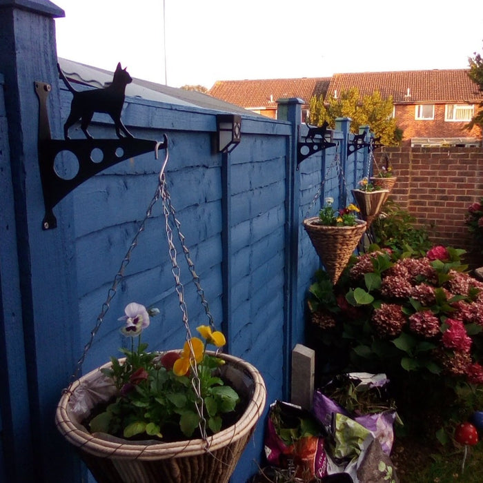 Small Cat Hanging Basket Bracket. This is a customer photo, with four fixed along the fence post, with baskets hanging on them too. Flory's Online. Garden Gifts. . 