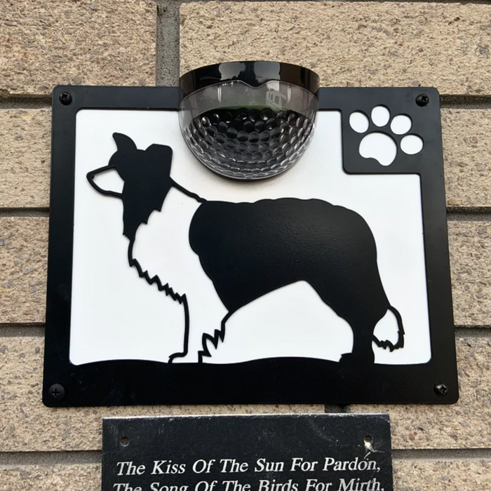 Border Collie Dog Solar Light Wall Plaque
