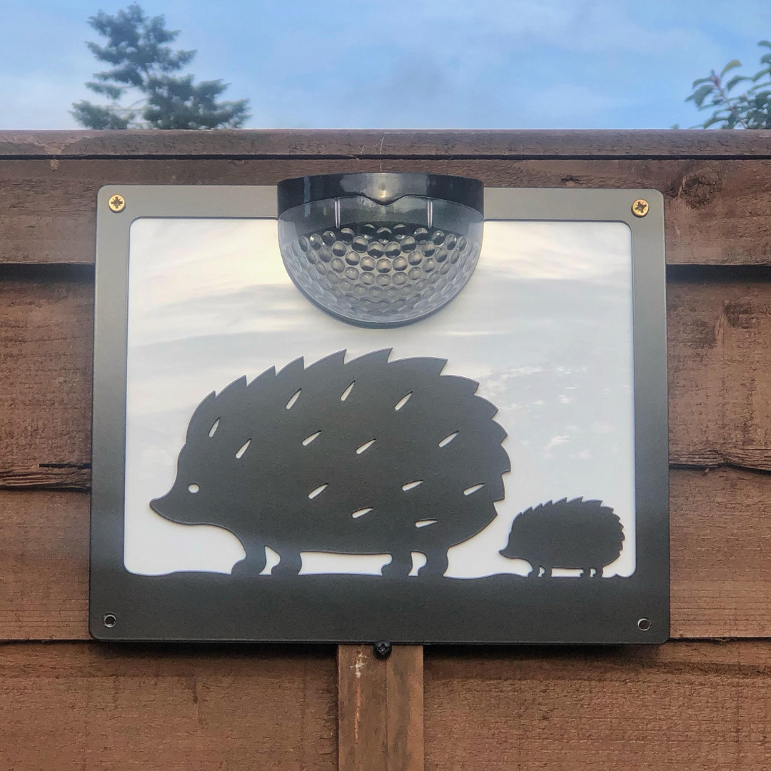 Hedgehog Themed Gifts