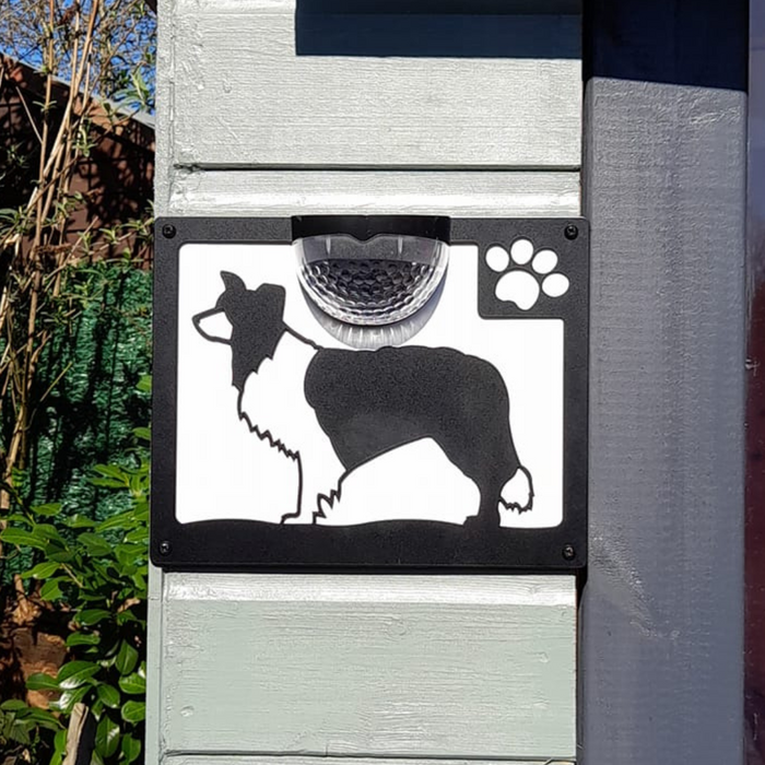 Border Collie Dog Solar Light Wall Plaque