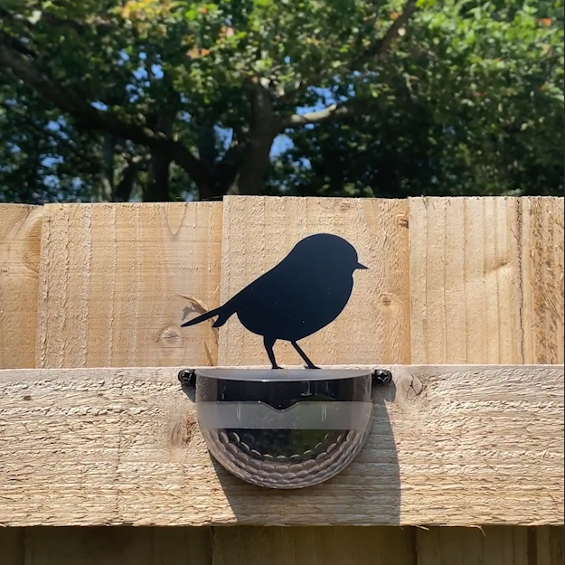 Solar powered best sale robin light