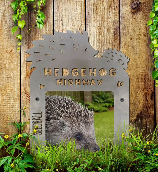Rusty Hedgehog Highway